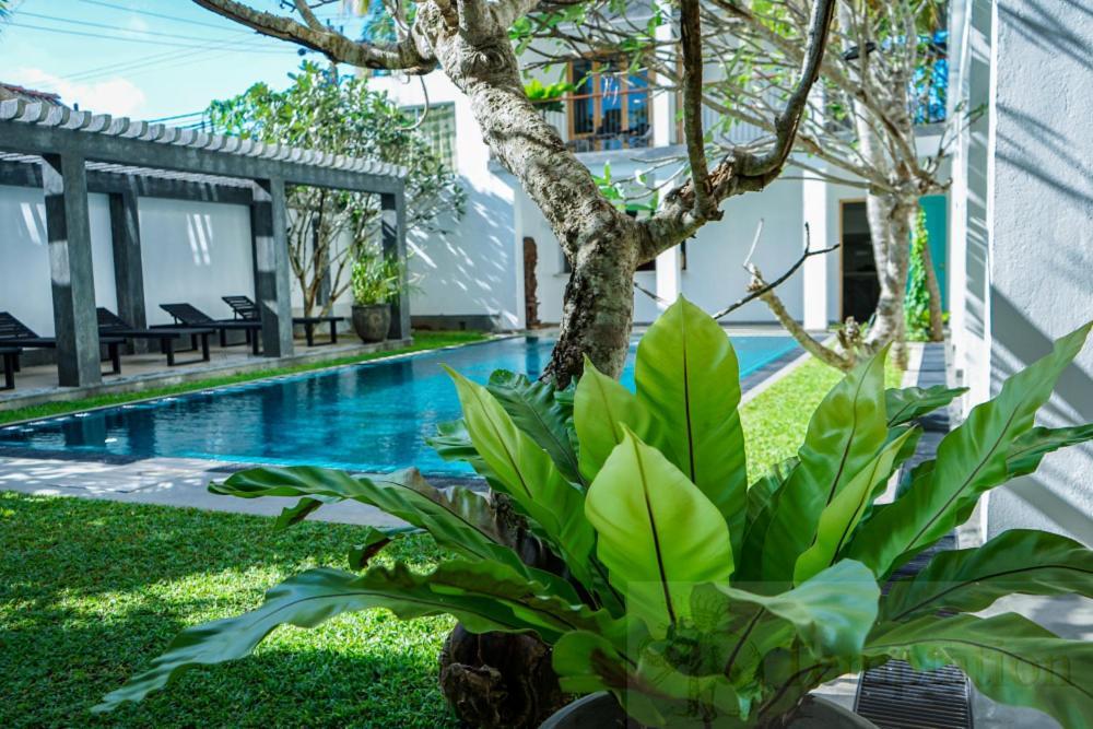 Temptation Hotell Hikkaduwa Exteriör bild